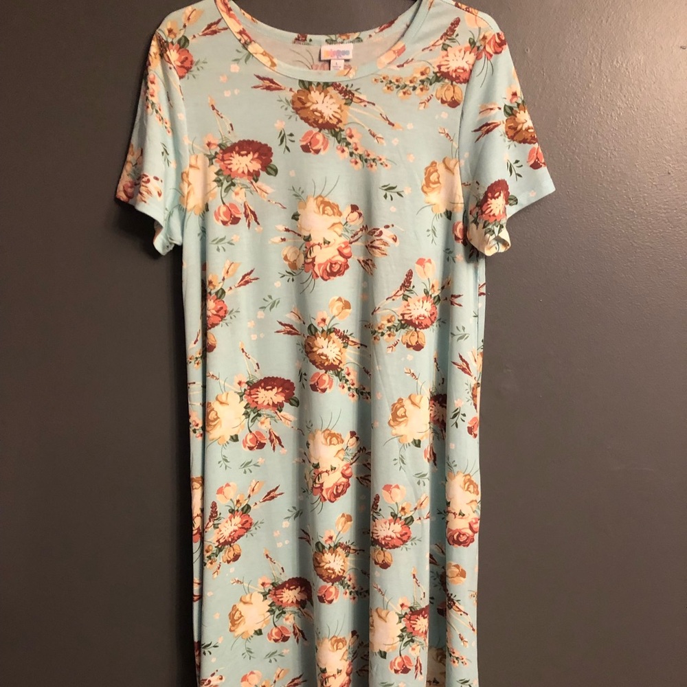 Lularoe Carly dress NWT